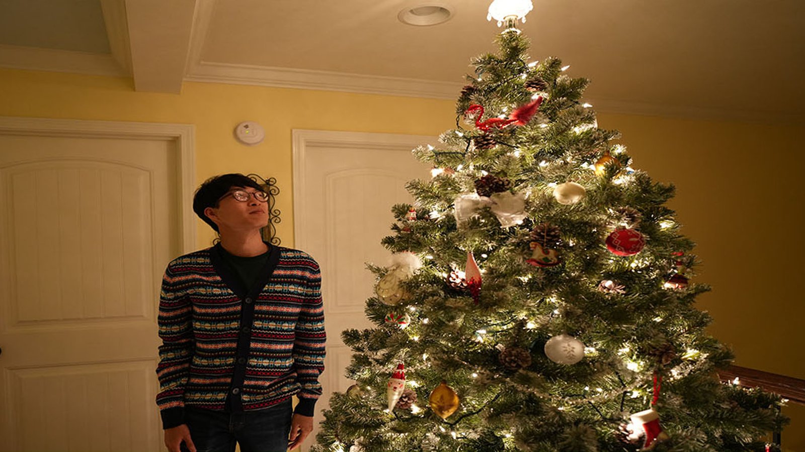 James Pilsung looking up at a christmas tree